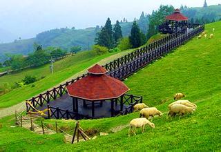 詳解！如何申請家庭農場？