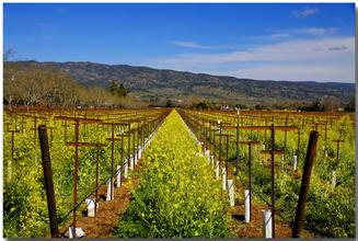 對家庭農場的發展，我想提幾點個人的思考！