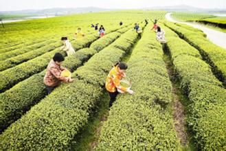 2017年辦家庭農場有哪些補貼