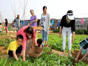 農村家庭農場能申請補貼了，快來看一看你家的地夠資格嗎？