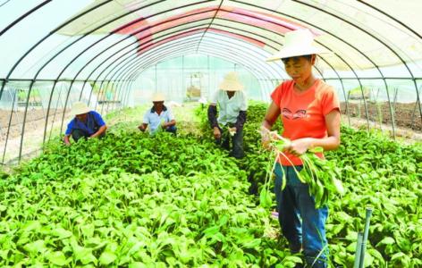 農業熱點|農民怎樣才能申辦成家庭農場？