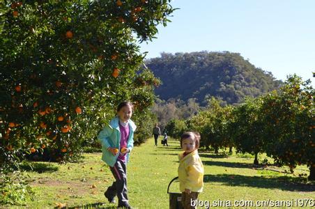 缺錢？看看這些農(nóng)莊是如何四兩撥千斤的