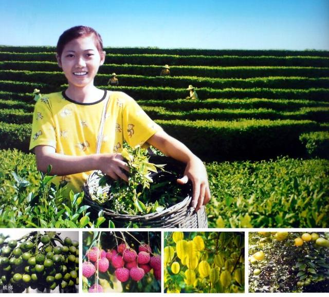 未來3年，國有農(nóng)場全部實(shí)現(xiàn)社會化