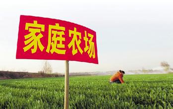  家庭農(nóng)場做不好?是因?yàn)槟阌龅竭@些瓶頸啦!