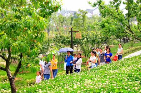  2017年農(nóng)莊搞定淡季，從這5方面著手有望!