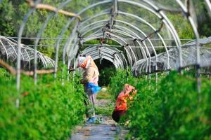 山區家庭農場的出路，五種生態養殖模式值得嘗試!