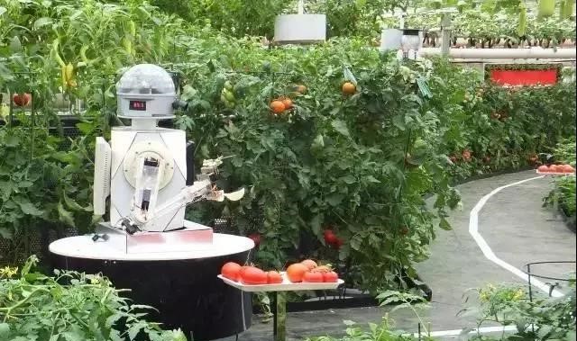 2.jpg 專家預測:未來30年將是大農業的天下;啥叫植物工廠