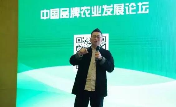 婁向鵬：四大關鍵點，讓小特產火遍全國