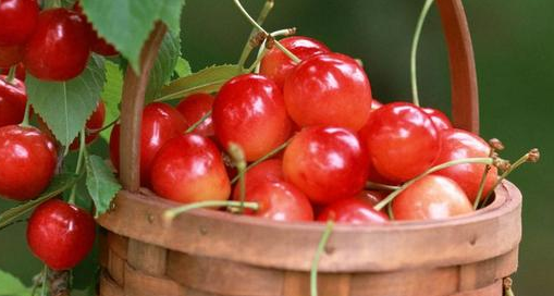 案例|靠供應(yīng)鏈，他竟把櫻桃賣出了3倍的高價(jià)！