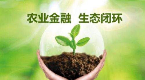 創(chuàng)業(yè)小黑板|經(jīng)營農(nóng)業(yè)要搞清楚這6大“鏈條”