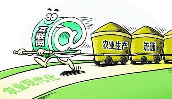 數字農產品供應鏈金融成發展藍海