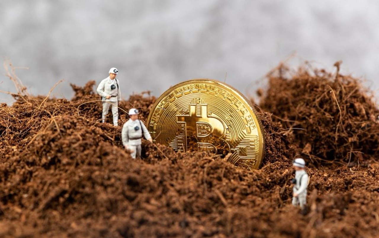 區塊鏈迎來政策風向標！區塊鏈農業又將火起來