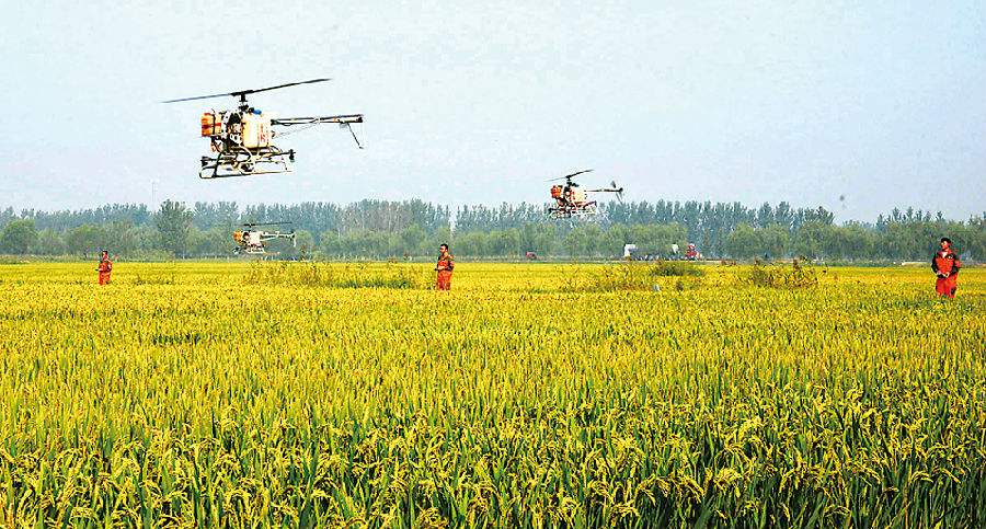 三農(nóng)日報|2017中央財政安排涉農(nóng)資金6.53億元；專家：4步成功打造億元生鮮爆品