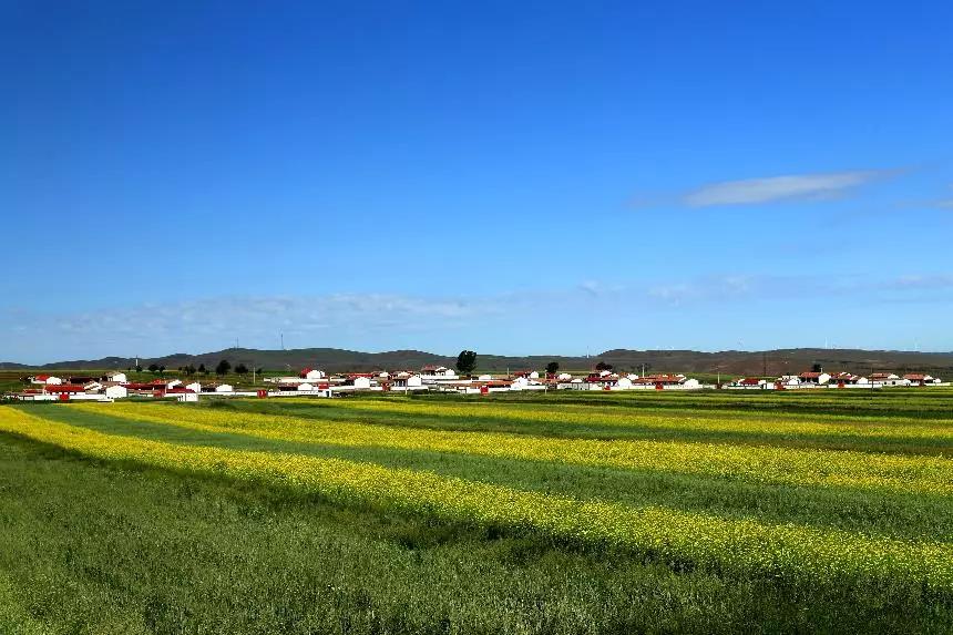 農(nóng)業(yè)產(chǎn)業(yè)周報｜（2018.12.03—12.09）