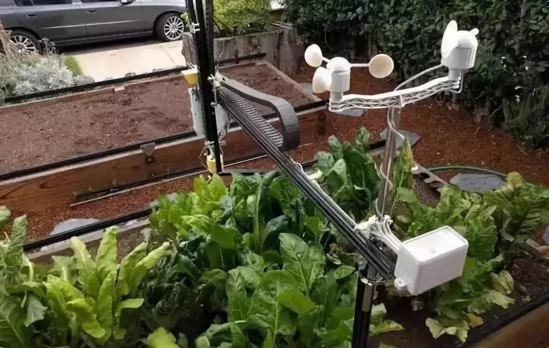 三農日報|預測：AI種菜每畝地可節省150元；農業將成為中國經濟發展的新引擎