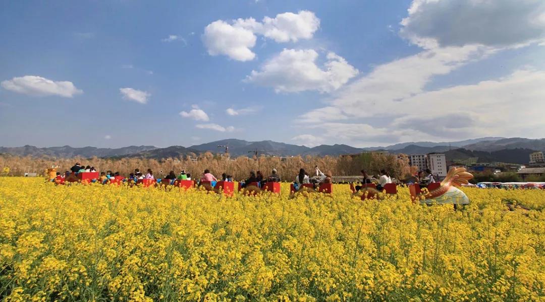 三農日報|中國農業面臨危機：農業勞動力正在減少；數據顯示：千億資本涌入生鮮新零售