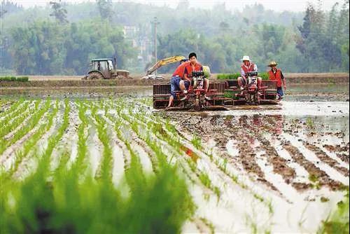 農(nóng)業(yè)產(chǎn)業(yè)周報(bào)|誼品生鮮、大康農(nóng)業(yè)、牧原、雙匯發(fā)展最新動(dòng)態(tài)、本周4例融資事件