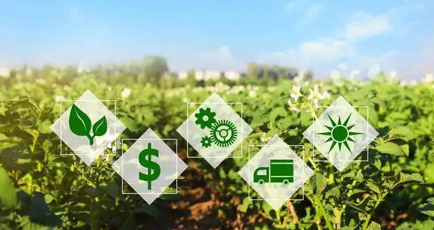 三農(nóng)日報|政策：加速建設(shè)產(chǎn)地冷藏保鮮設(shè)施；專家：陽臺種菜成為新消費(fèi)