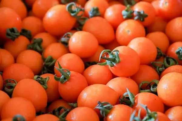 【產業透視】生鮮行業存在哪些痛點