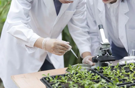 農業(yè)產業(yè)周報|叮咚買菜、北大荒、圣農、極飛科技、匯通達最新動態(tài)