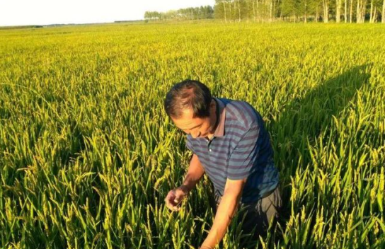 農業產業周報|溫氏股份、宜品生鮮、佳沃集團、諾普信最新動態；本周5例資本事件