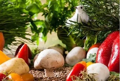 【生鮮行業】我國生鮮農產品供應鏈基本模式探討