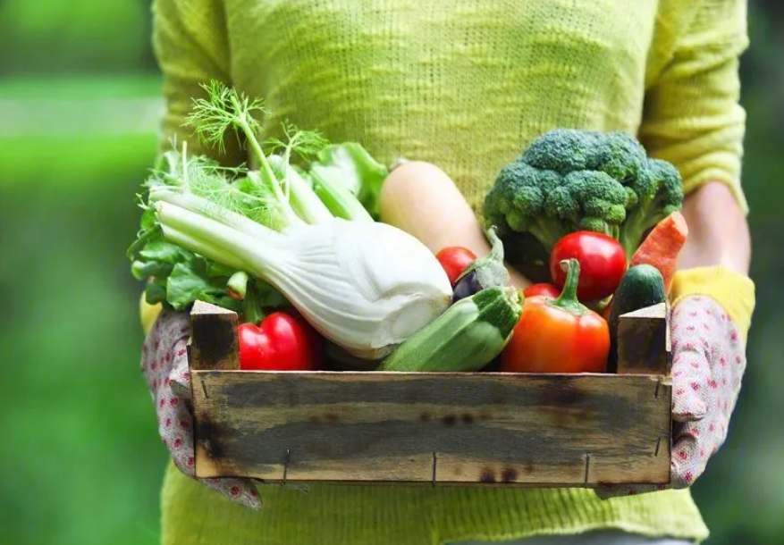 食材供應(yīng)鏈行業(yè)未來還將有哪些變革？將呈現(xiàn)什么樣的發(fā)展趨勢呢？