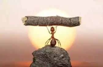 除了冷嘲熱諷，我們該對生鮮電商人說點什么？