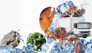  分析 | 如何打造高質(zhì)量高價(jià)值的生鮮冷鏈以及供應(yīng)鏈?