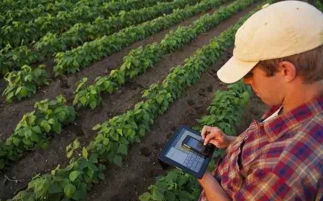 1.jpg 聚焦世界互聯網大會:4年沉淀,美菜網成數字農業最強案例