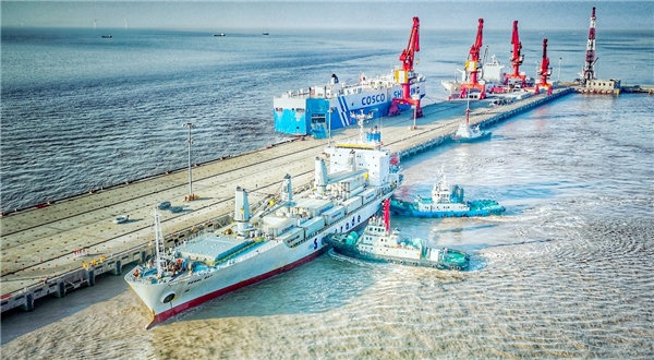 首條包船到港！鑫榮懋攜東航物流助力中智車厘子貿易,賦能中國消費者