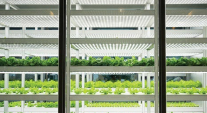 瑞士銀行未來農(nóng)業(yè)報告：糧食的未來和我們面臨的挑戰(zhàn)