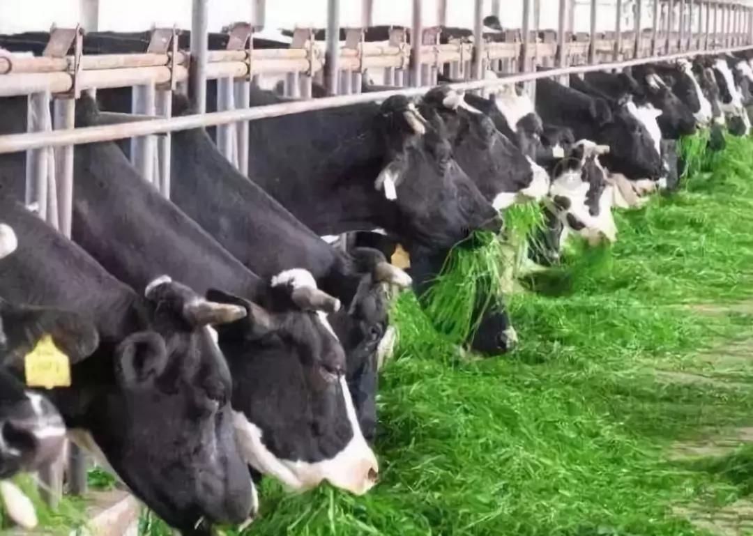 三農(nóng)日報|休閑食品公司受資本看好；新型農(nóng)業(yè)經(jīng)營主體增收靠發(fā)展新業(yè)態(tài)