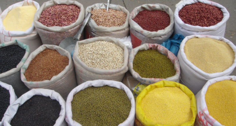 聯(lián)合國糧農(nóng)組織發(fā)布《2019世界糧食及農(nóng)業(yè)狀況》報告