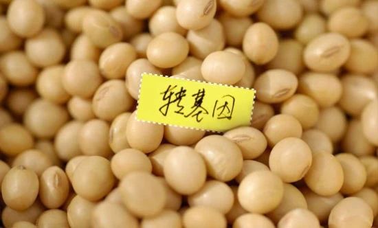 政策|中國將改進(jìn)轉(zhuǎn)基因產(chǎn)品審批監(jiān)管流程（附相關(guān)協(xié)議“農(nóng)業(yè)生物技術(shù)”部分）