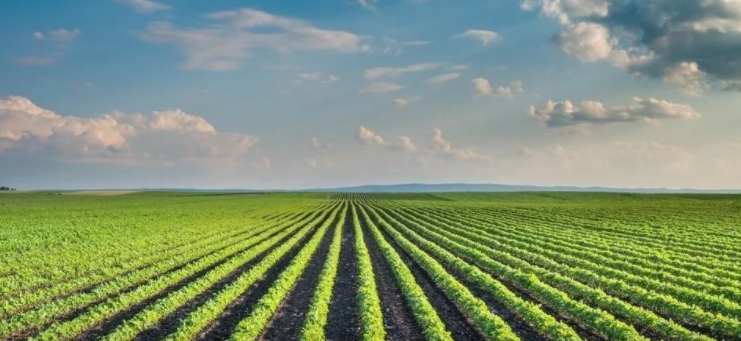 資本正在向上游轉移：2019全球農業與食品科技投資的新風向