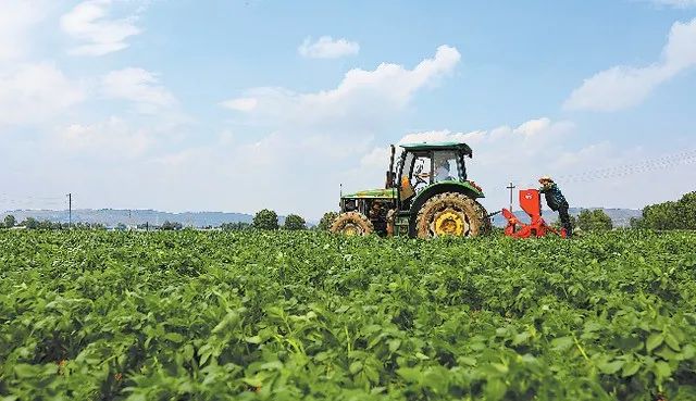 三農日報|中國育種將迎來大規模外商投資；券商：我國種業有望迎來向上拐點