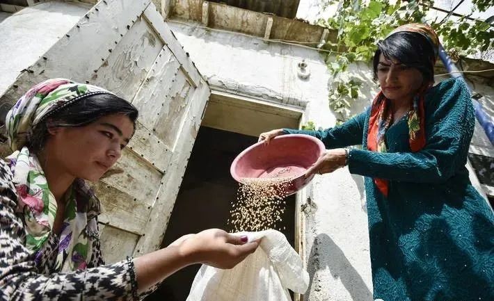 【報告前瞻】2020《世界糧食安全和營養狀況》