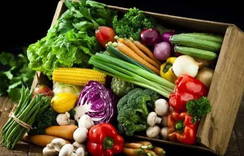 【食品行業】全球農業食品科技投資在大流行中井噴