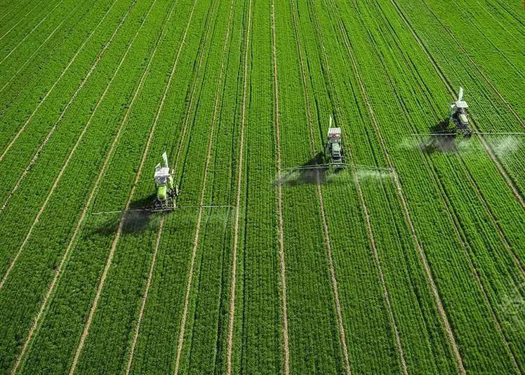 三農日報|政策：加速發展全程托管服務；報告：臨期食品市場規模或超800億