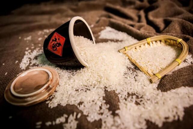 投票預告丨為你最喜愛的大米品牌打CALL 