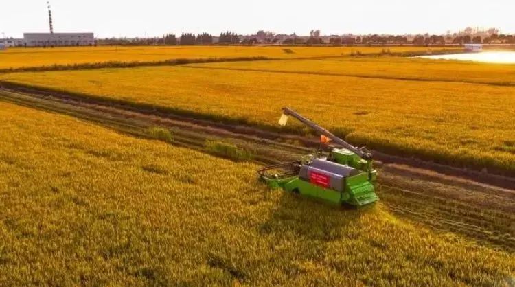 農業產業周報|大北農、匯通達、三全食品、光明食品、周黑鴨最新動態；本周4例資本事件