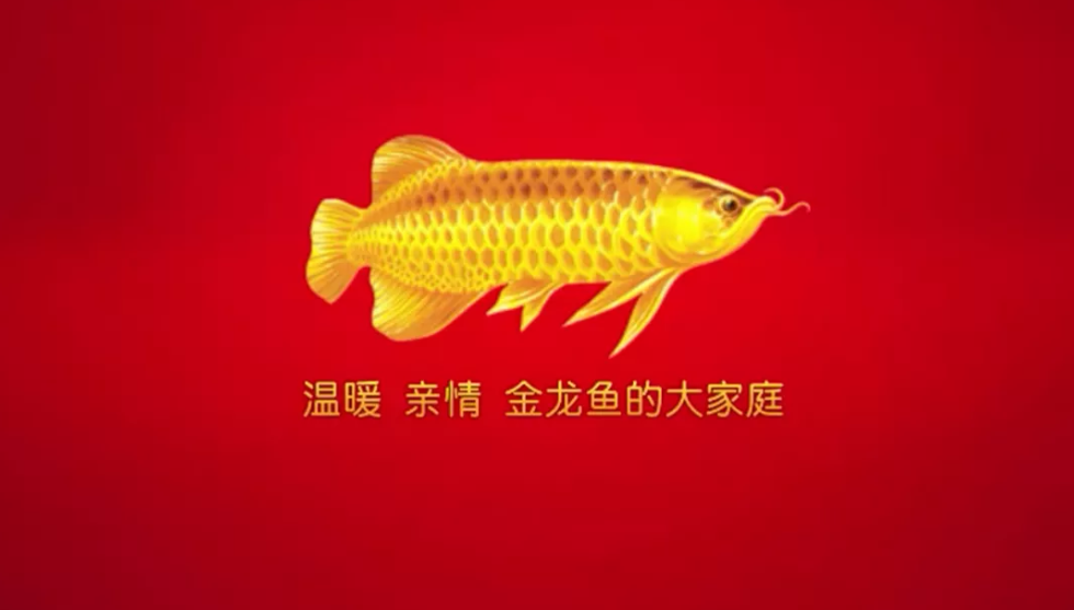 【新農(nóng)商】金龍魚往事：從叔侄斗法到聯(lián)手上市