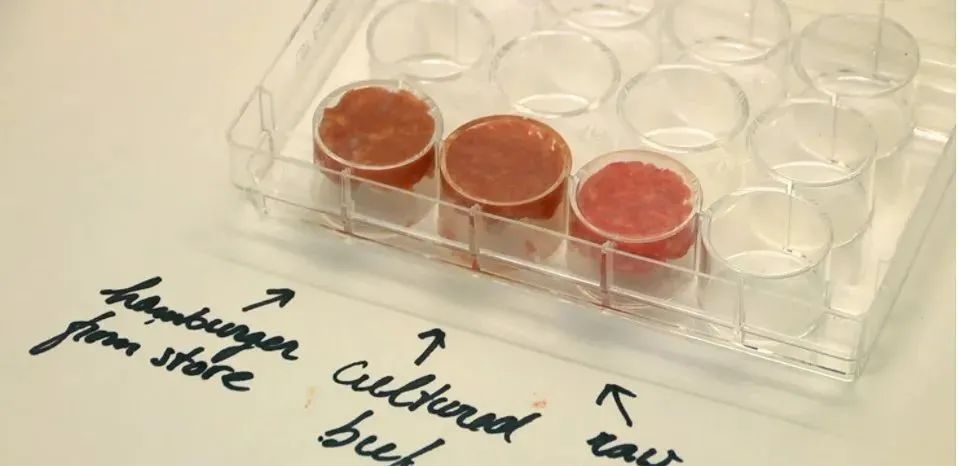 未來食品：迎來政策紅利，關乎國家安全，中美加緊布局