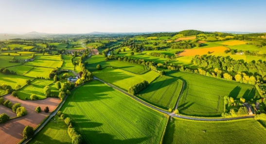 農(nóng)業(yè)產(chǎn)業(yè)周報|溫氏股份、牧原、海天、安井食品、潤建股份最新動態(tài)；本周5例資本事件