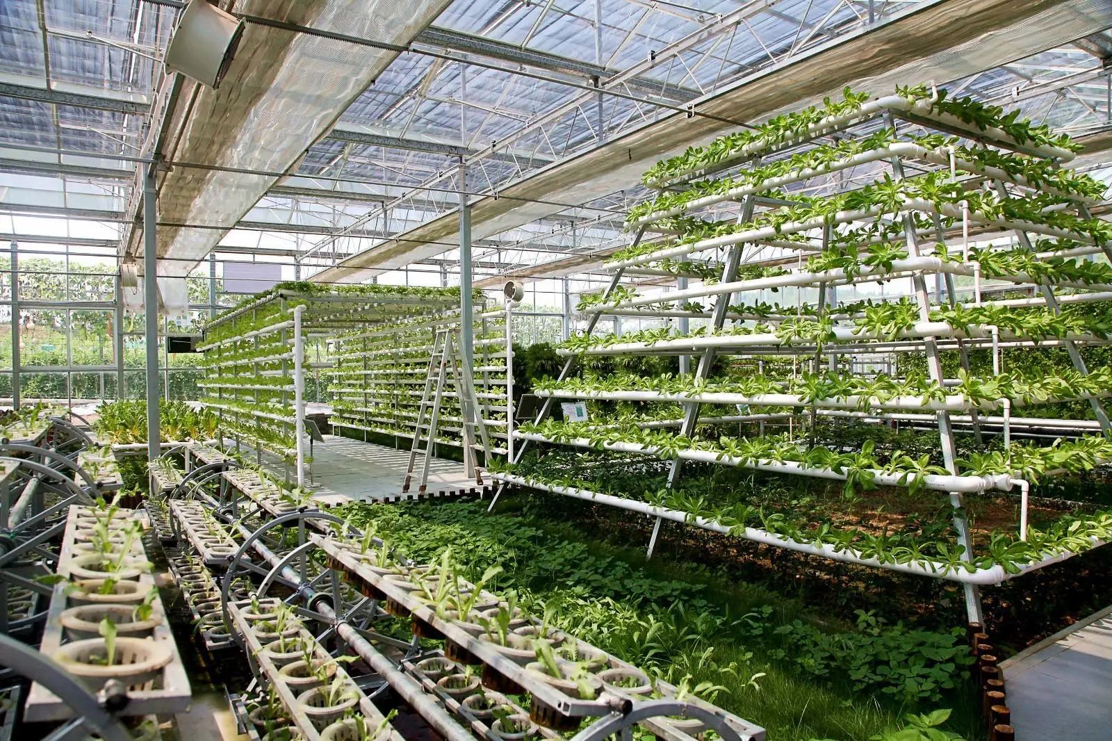 【政策解讀】2023年中國綠色食品發(fā)展中心一號文件發(fā)布！