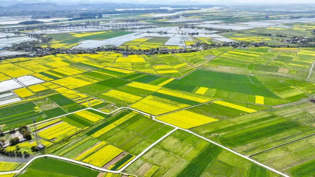 農(nóng)業(yè)食品強勁！新財富500富人榜：鐘睒睒三奪首富，張紅超兄弟、范現(xiàn)國首次登榜！