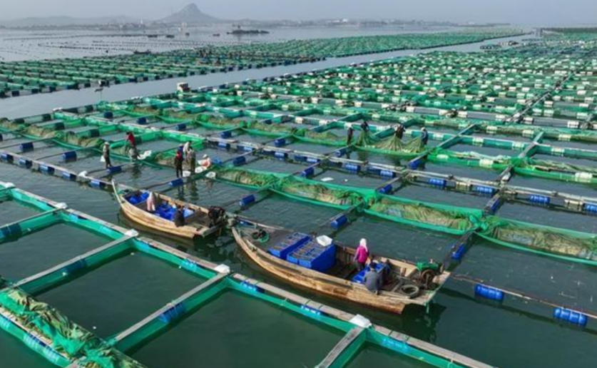 農業產業周報|娃哈哈、唐人神、三只松鼠、龍大美食最新動態