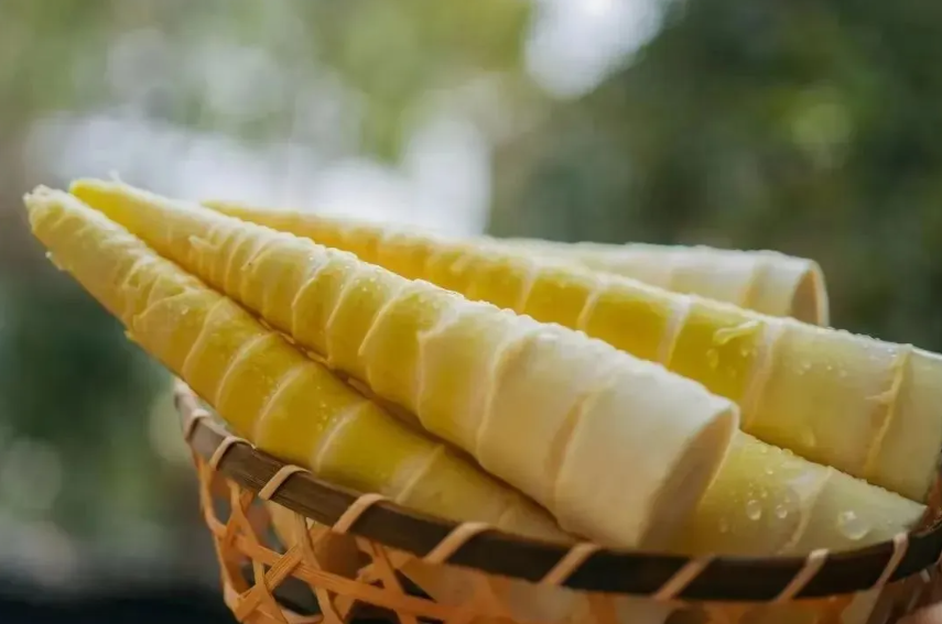 【政策發布】國務院辦公廳關于踐行大食物觀構建多元化食物供給體系的意見