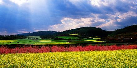 云南：高原特色農(nóng)業(yè)如何打造？科技成為產(chǎn)業(yè)轉(zhuǎn)折點(diǎn)